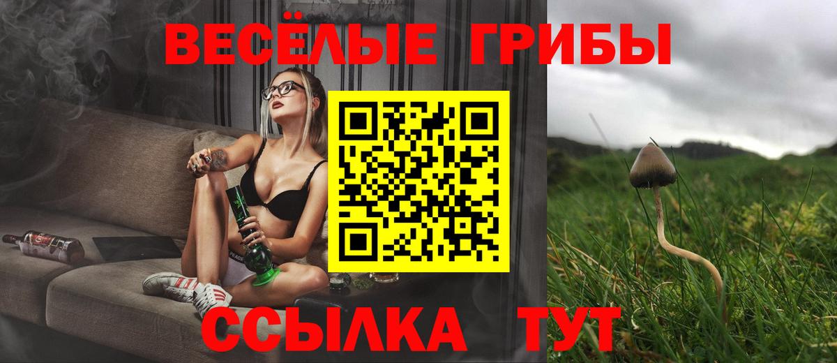 Советская Гавань  Галлюциногенные грибы MAGIC MUSHROOMS  Вход с VPN 